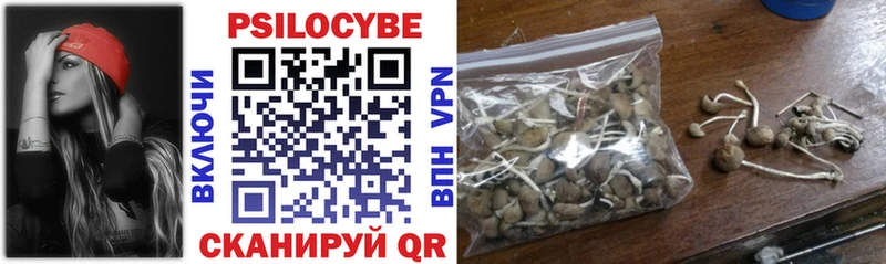 что такое   Аша  Галлюциногенные грибы MAGIC MUSHROOMS 