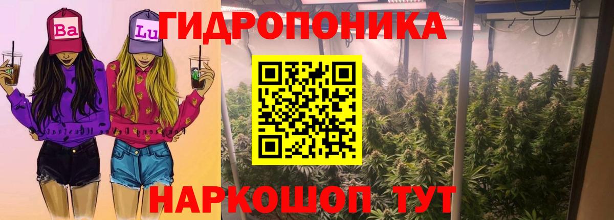 Аша  Конопля планчик  Вход с VPN  Бошки марихуана MAZAR 